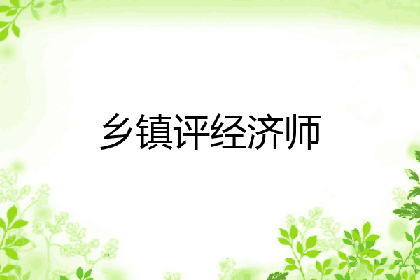 乡镇评经济师