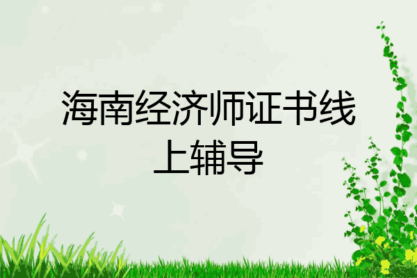 海南经济师证书线上辅导