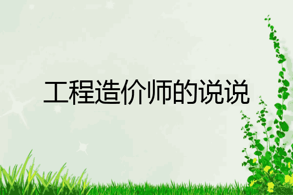 工程造价师的说说