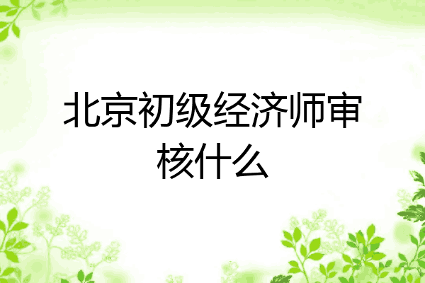 北京初级经济师审核什么
