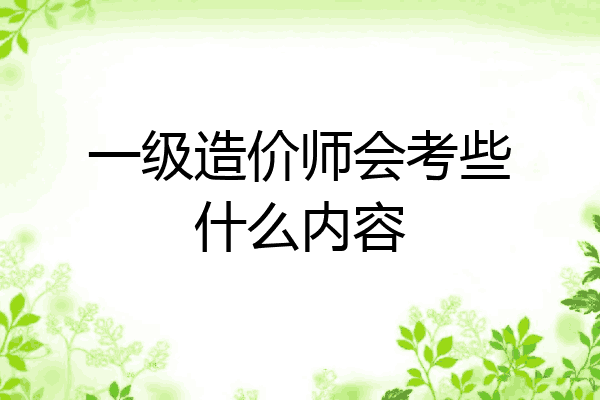 一级造价师会考些什么内容
