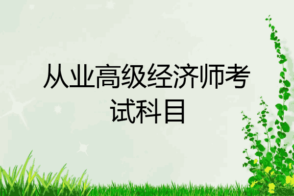 从业高级经济师考试科目