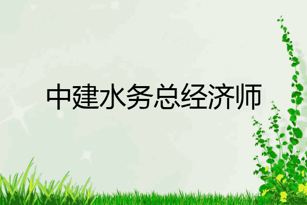 中建水务总经济师