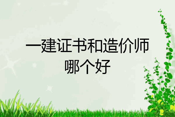 一建证书和造价师哪个好