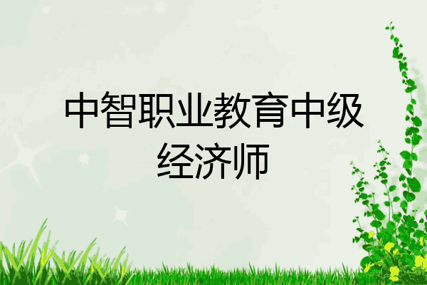 中智职业教育中级经济师