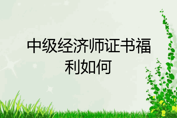 中级经济师证书福利如何
