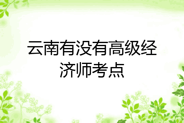 云南有没有高级经济师考点