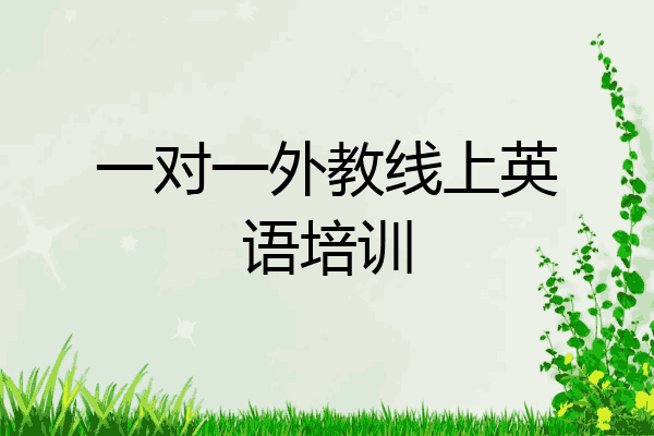 一对一外教线上英语培训