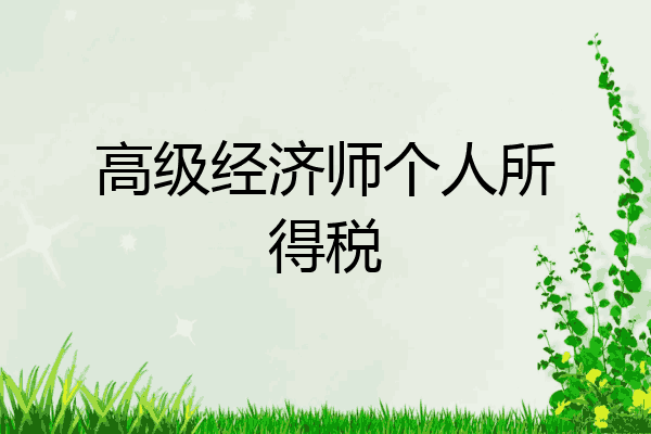 高级经济师个人所得税