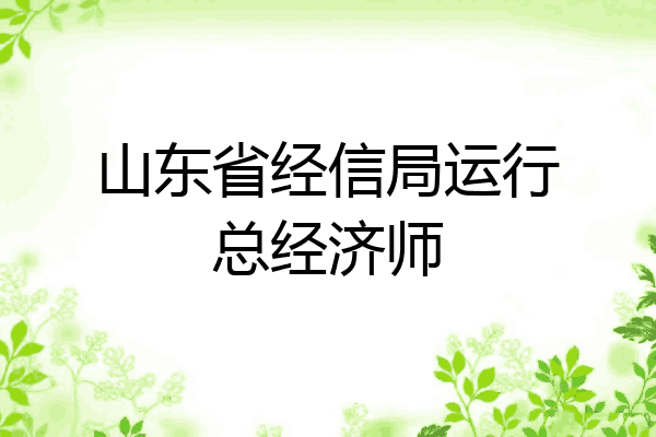 山东省经信局运行总经济师