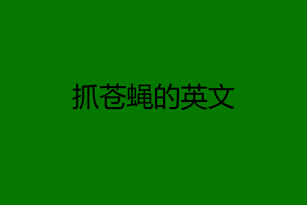 抓苍蝇的英文