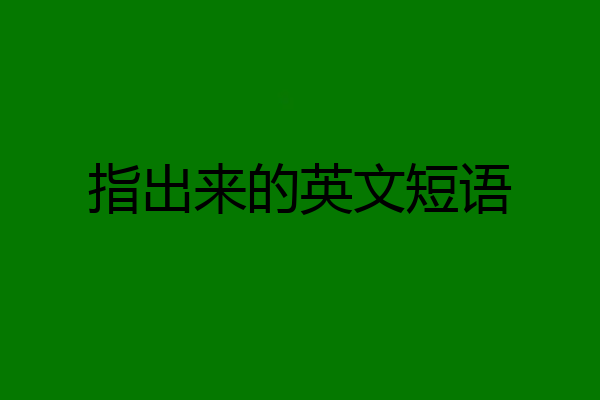 指出来的英文短语