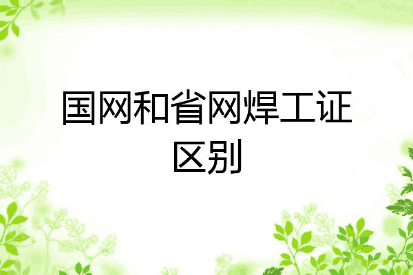国网和省网焊工证区别