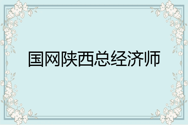 国网陕西总经济师