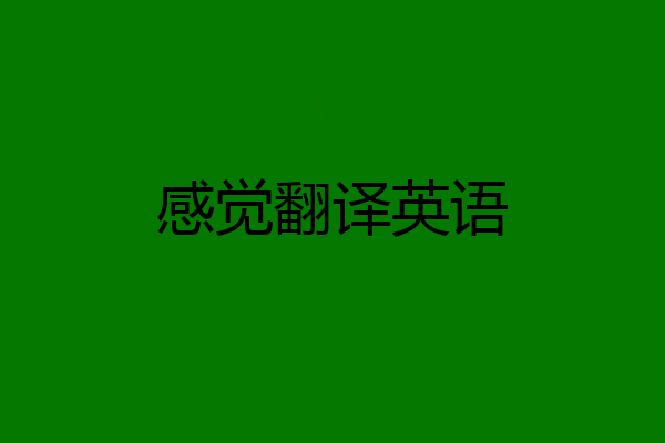 感觉翻译英语