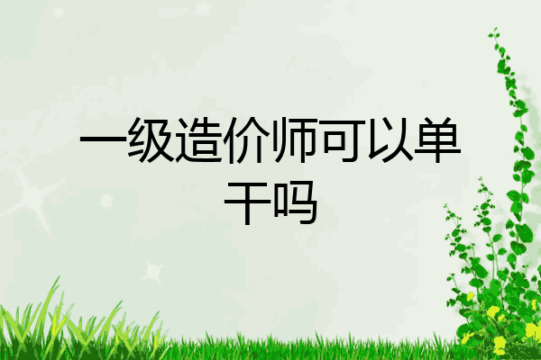 一级造价师可以单干吗