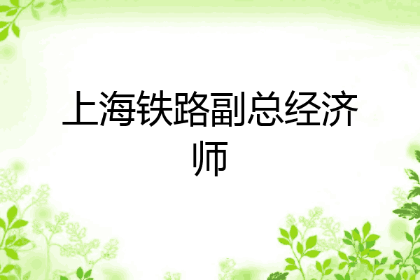 上海铁路副总经济师