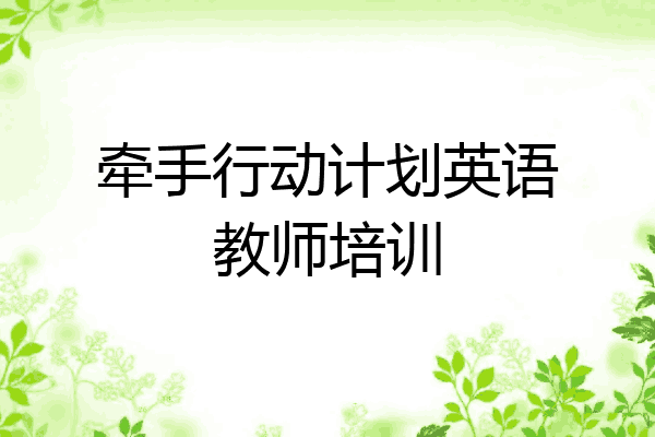 牵手行动计划英语教师培训