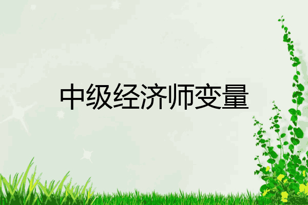 中级经济师变量