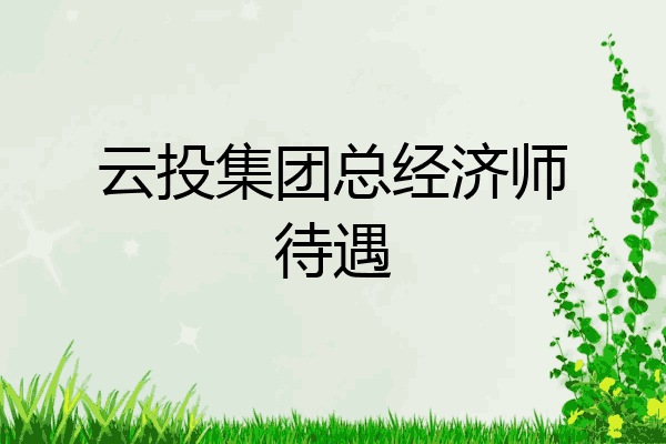 云投集团总经济师待遇