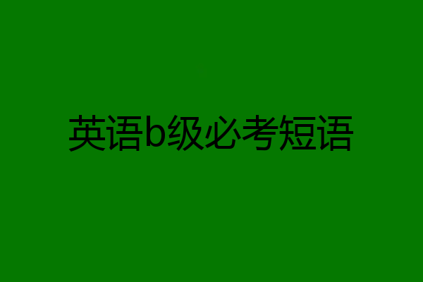 英语b级必考短语