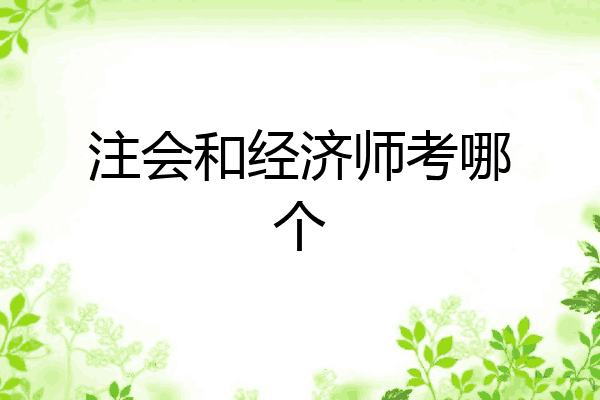 注会和经济师考哪个