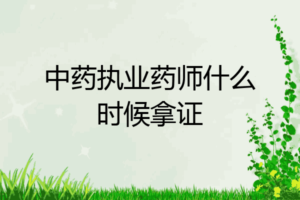 中药执业药师什么时候拿证