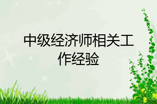 中级经济师相关工作经验