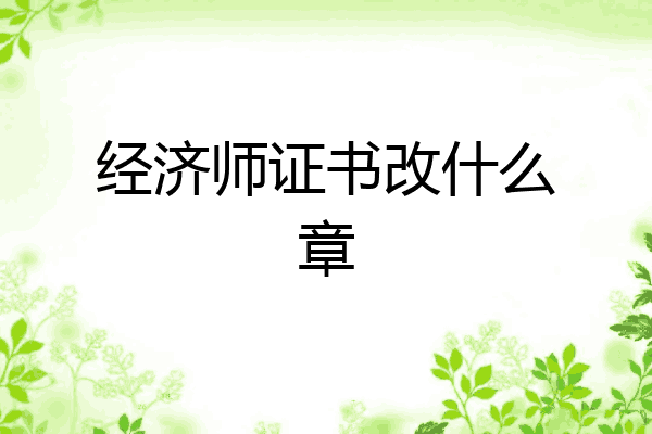 经济师证书改什么章