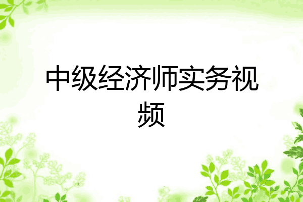 中级经济师实务视频