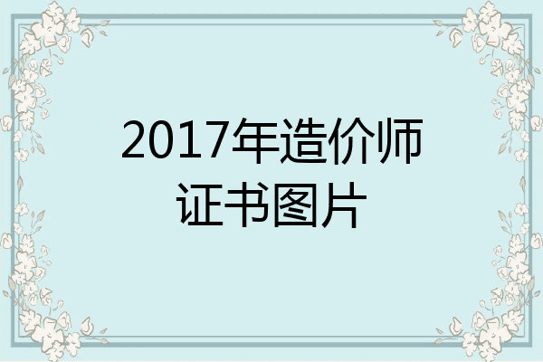 2017年造价师证书图片