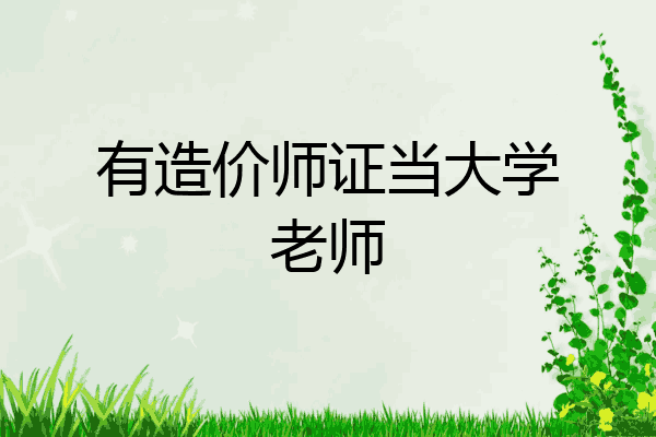 有造价师证当大学老师