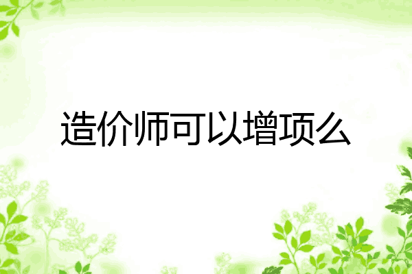 造价师可以增项么