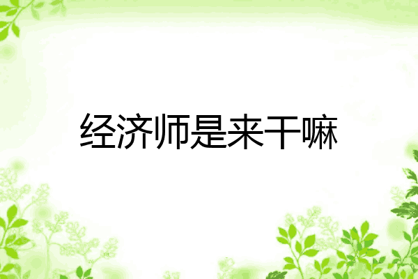 经济师是来干嘛