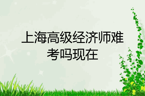 上海高级经济师难考吗现在