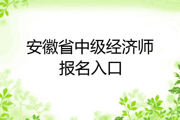 安徽省中级经济师报名入口