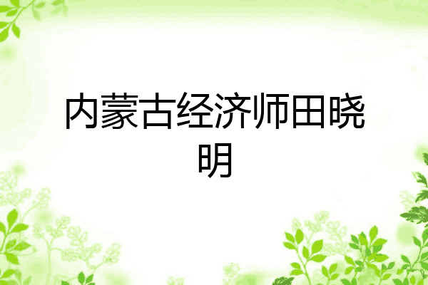 内蒙古经济师田晓明