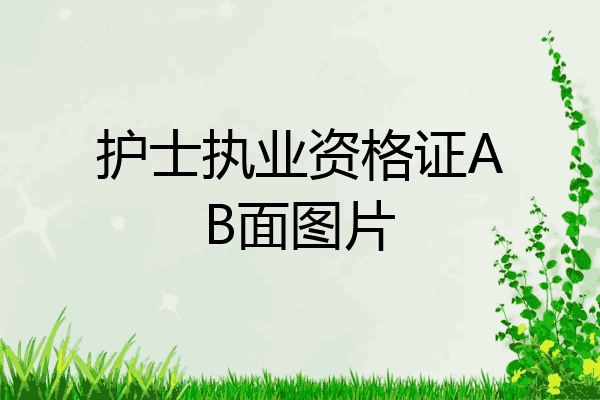 护士执业资格证AB面图片