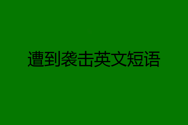 遭到袭击英文短语
