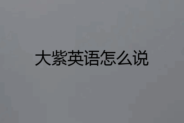 大紫英语怎么说