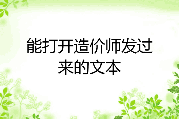 能打开造价师发过来的文本