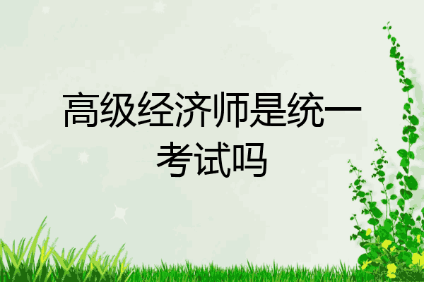 高级经济师是统一考试吗