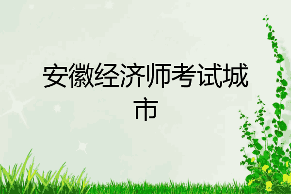 安徽经济师考试城市