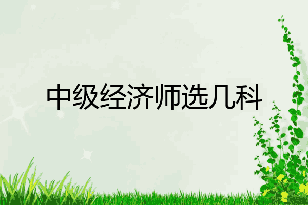 中级经济师选几科