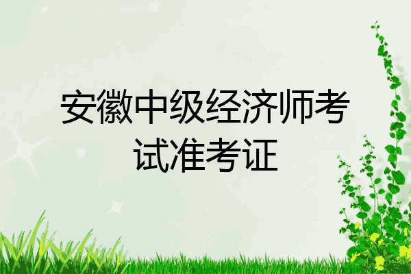 安徽中级经济师考试准考证