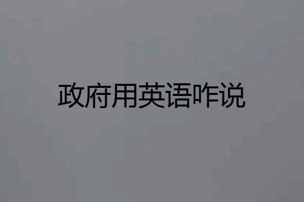 政府用英语咋说