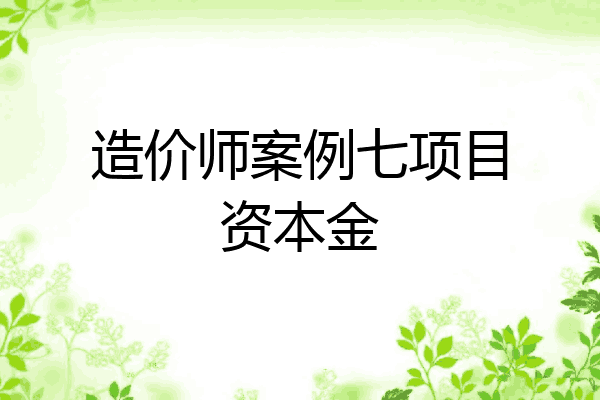 造价师案例七项目资本金