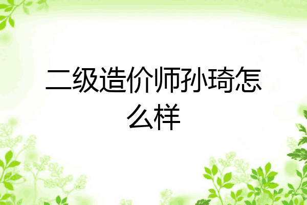 二级造价师孙琦怎么样