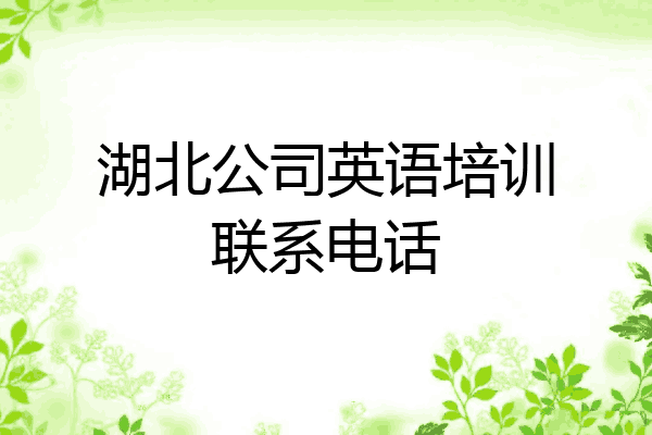 湖北公司英语培训联系电话