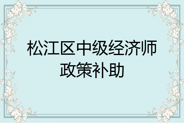松江区中级经济师政策补助